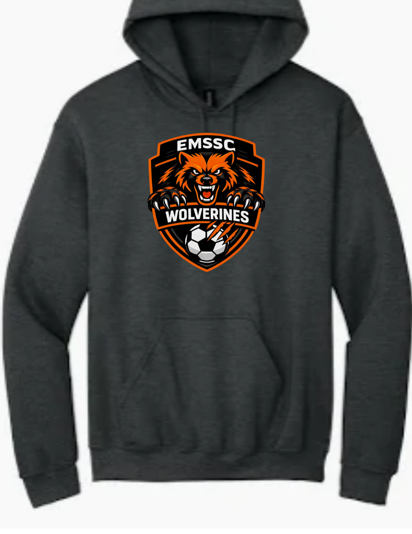 Wolverines hoodie- large front logo