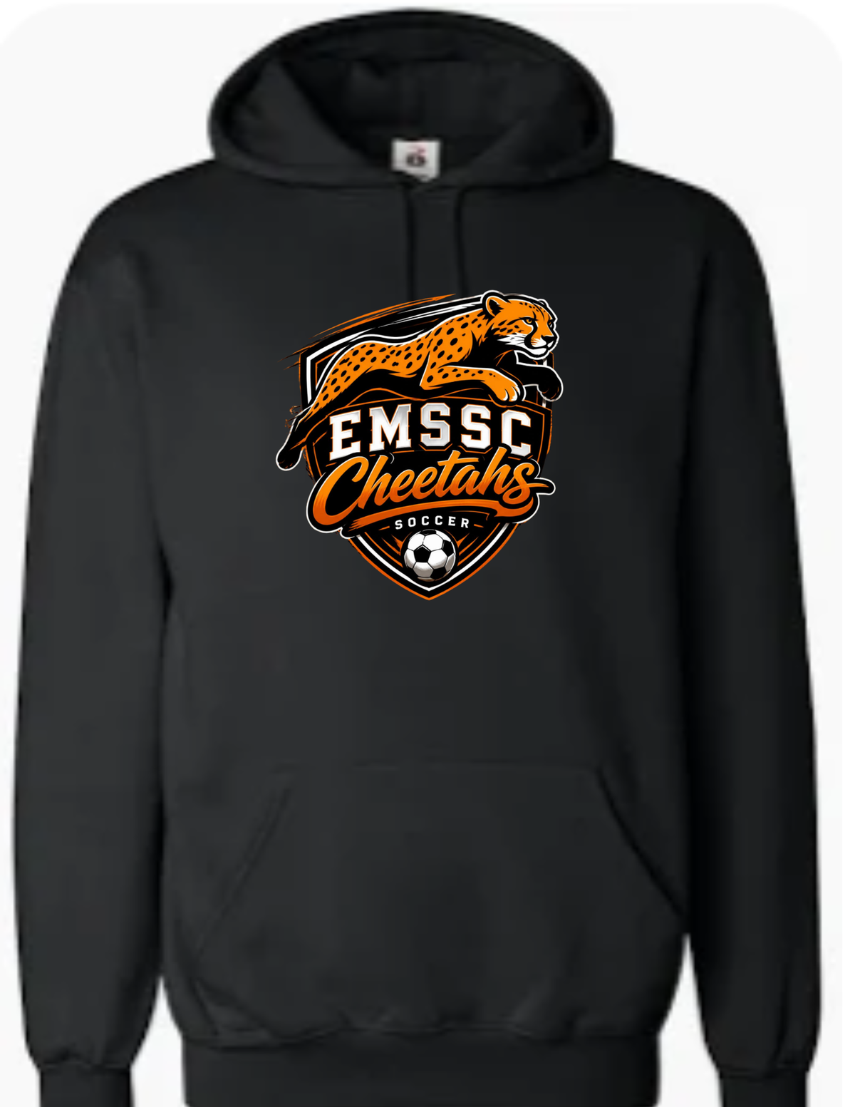Youth hoodie- large front logo