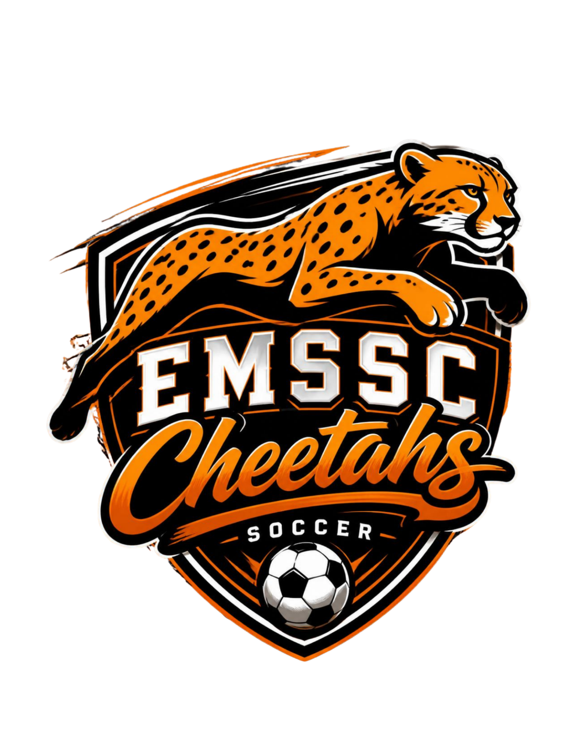 Cheetahs logo car decal