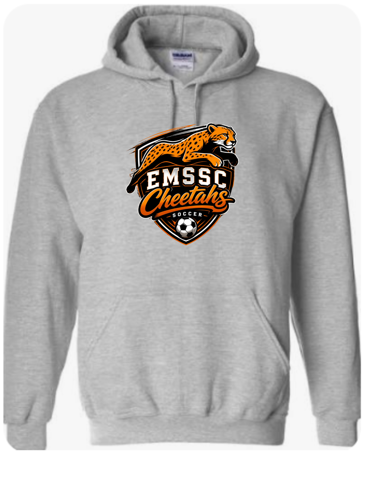 Youth hoodie- large front logo