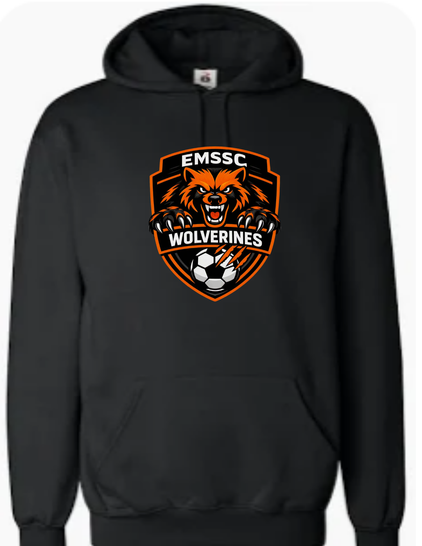 Wolverines hoodie- large front logo