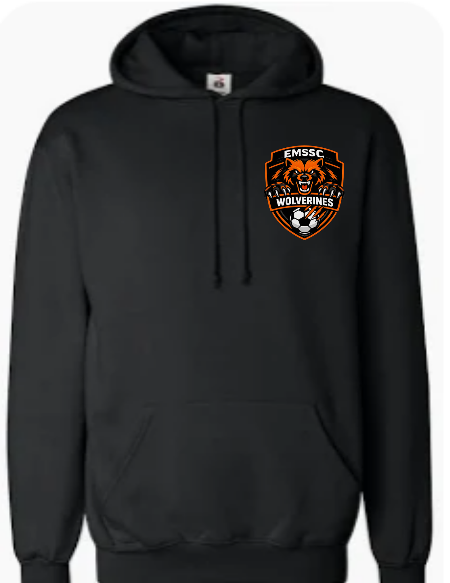Wolverines hoodie- small left chest logo