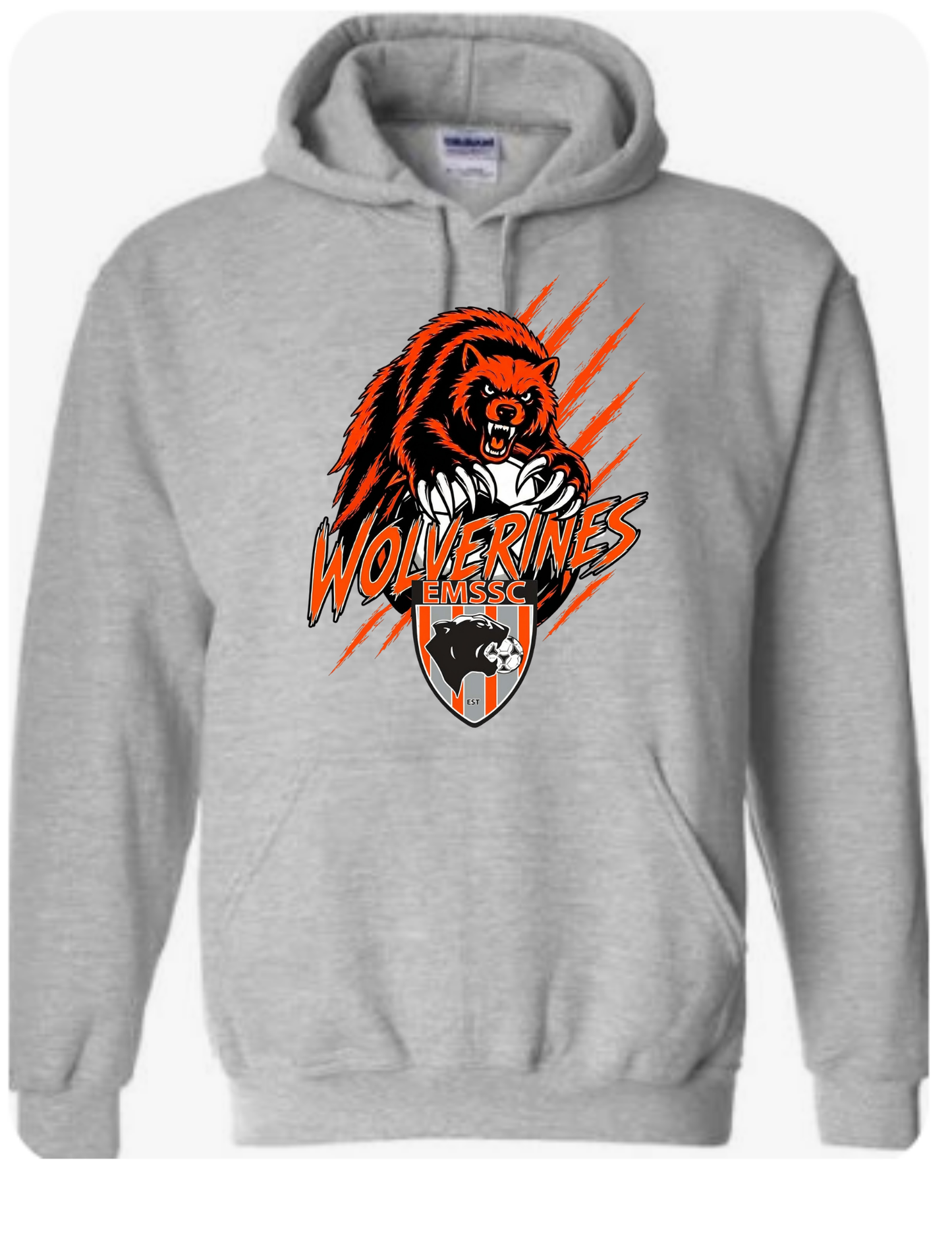Wolverines hoodie- scratches logo