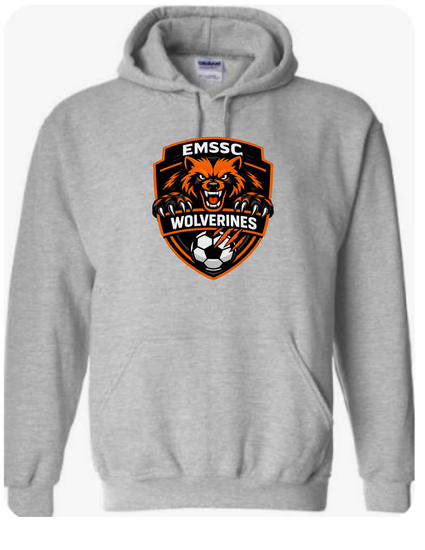 Wolverines hoodie- large front logo