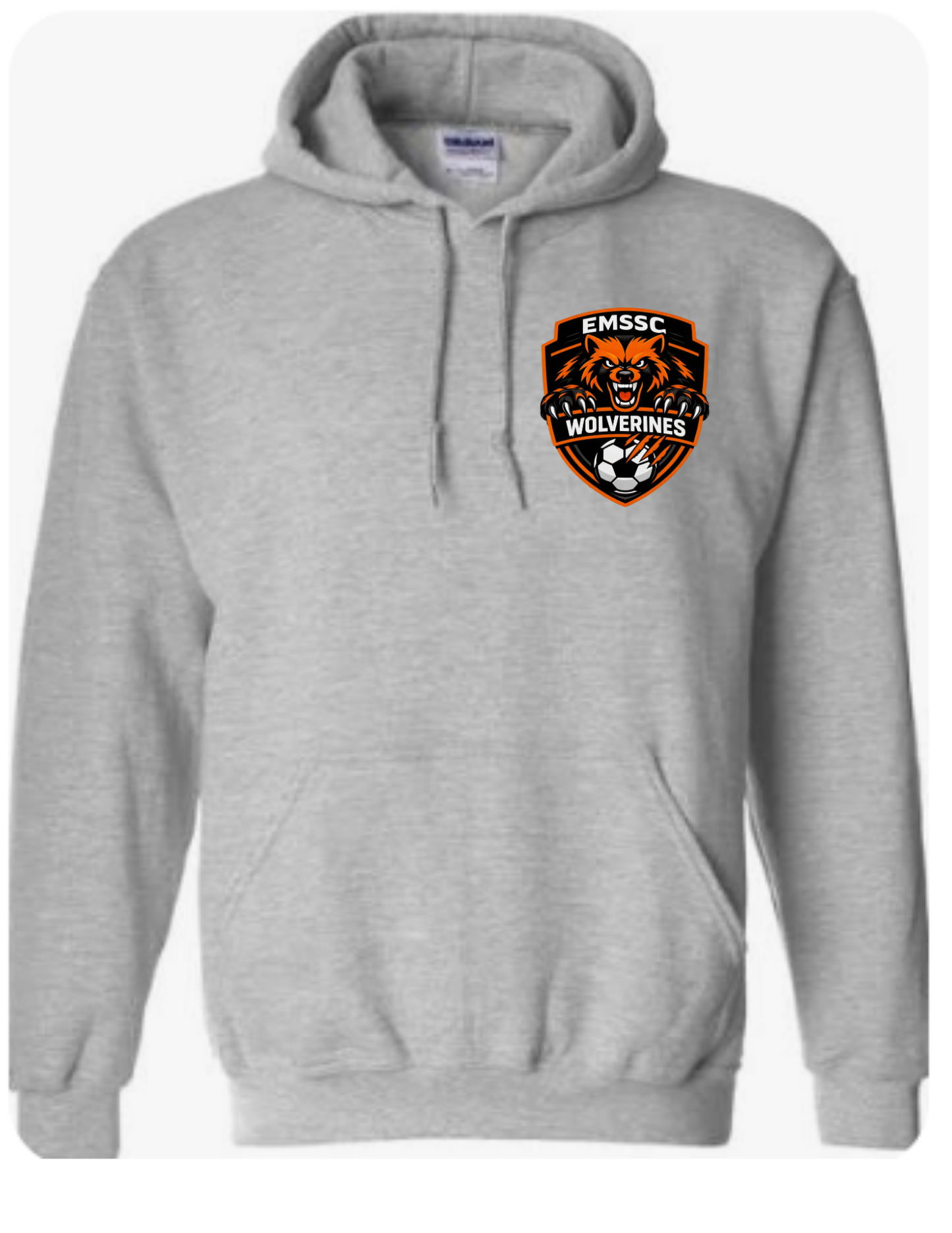 Wolverines hoodie- small left chest logo