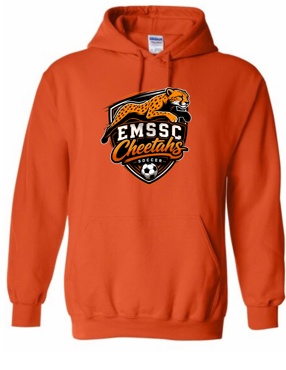 Youth hoodie- large front logo