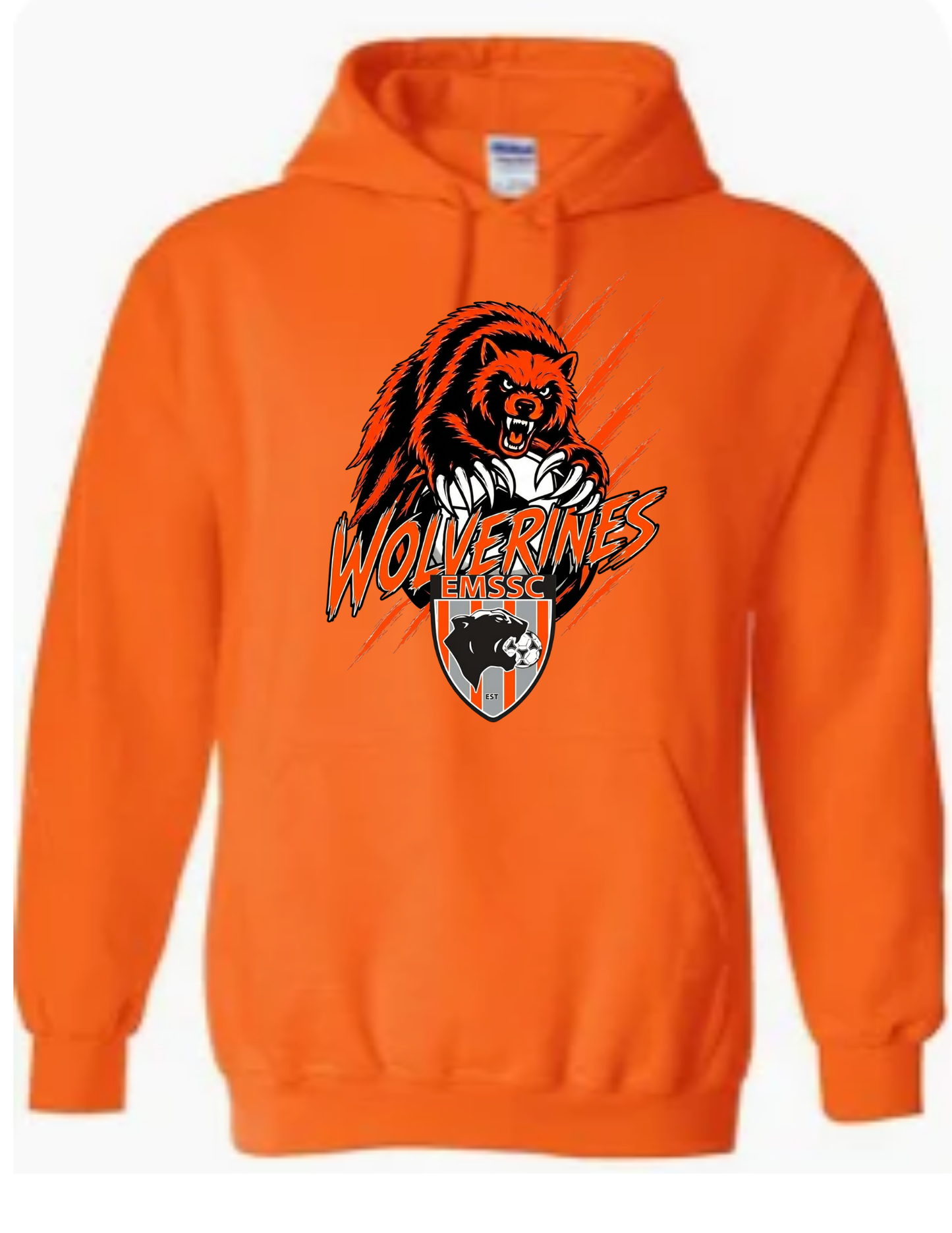 Wolverines hoodie- scratches logo