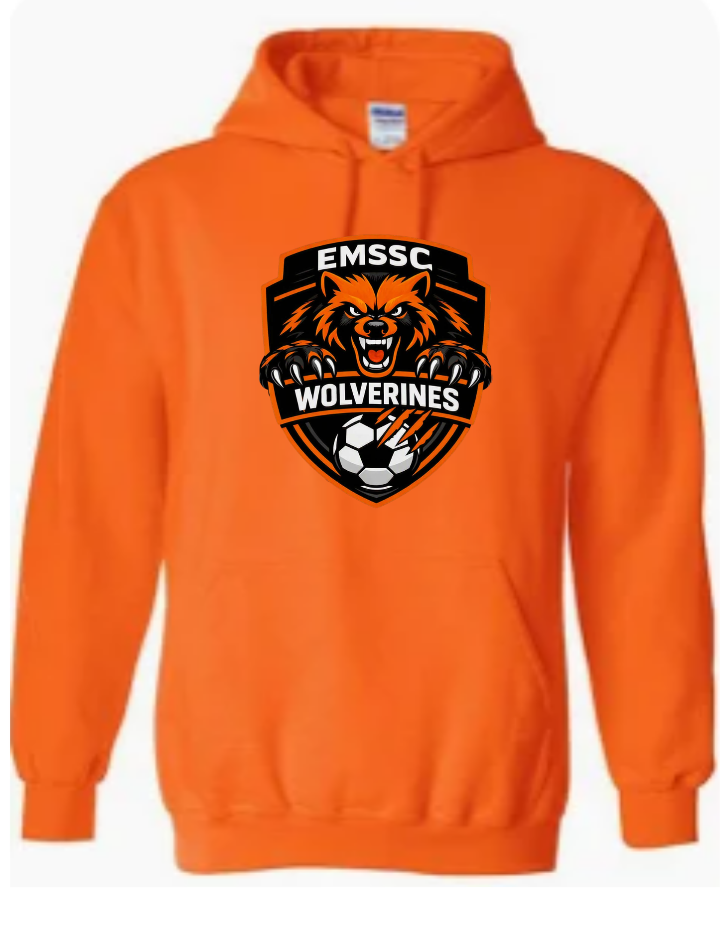 Wolverines hoodie- large front logo
