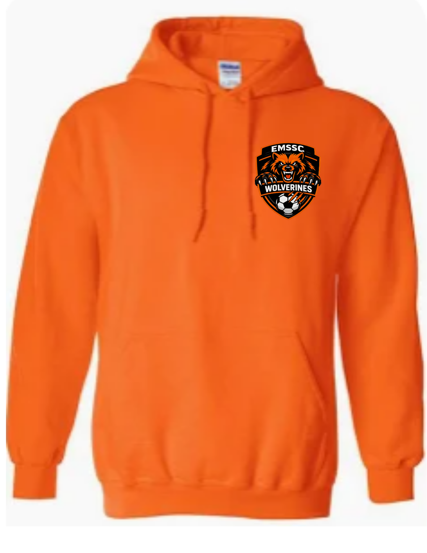 Wolverines hoodie- small left chest logo