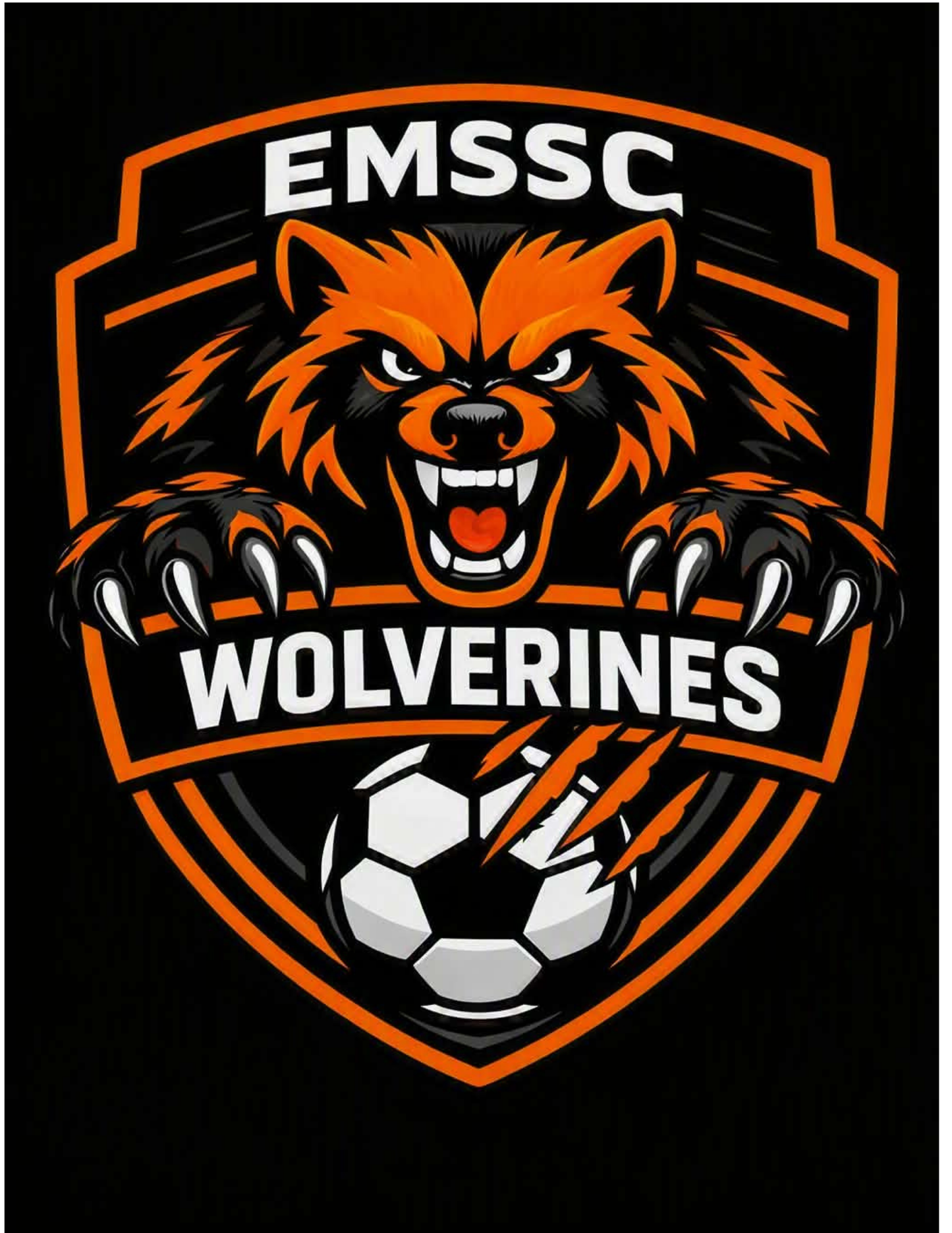 Wolverines t-shirt- large front logo