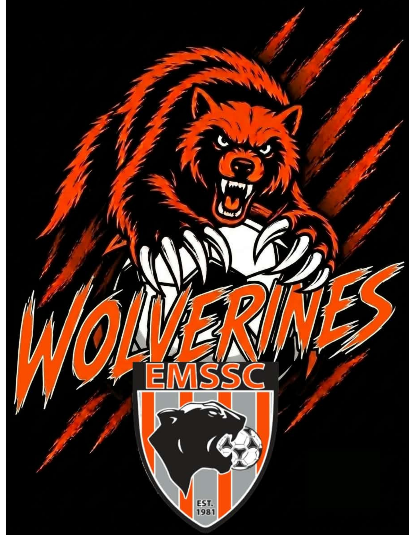 Wolverines hoodie- scratches logo