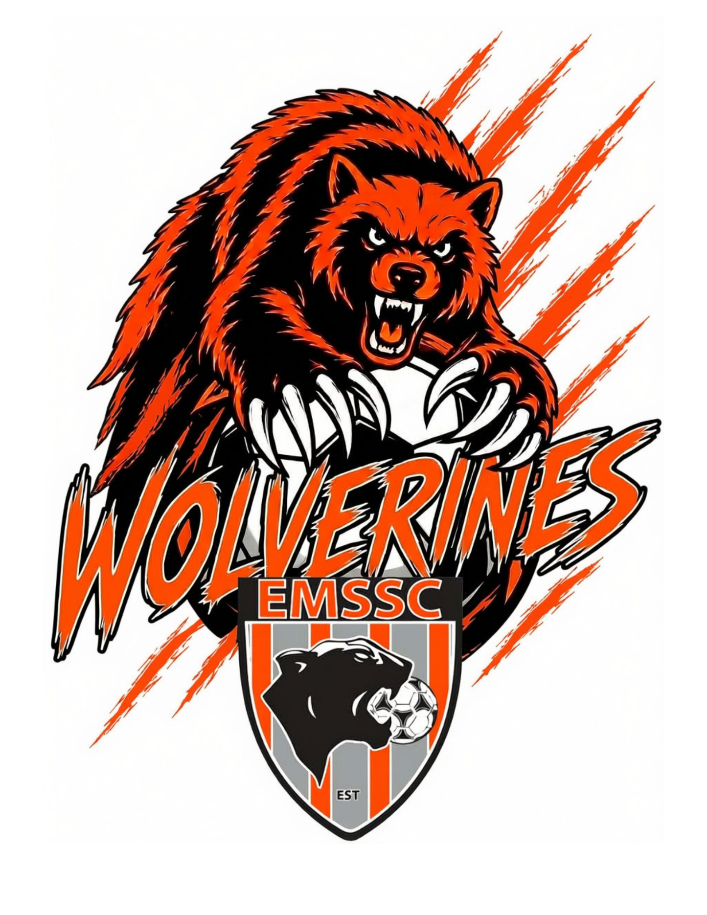 Wolverines hoodie- scratches logo