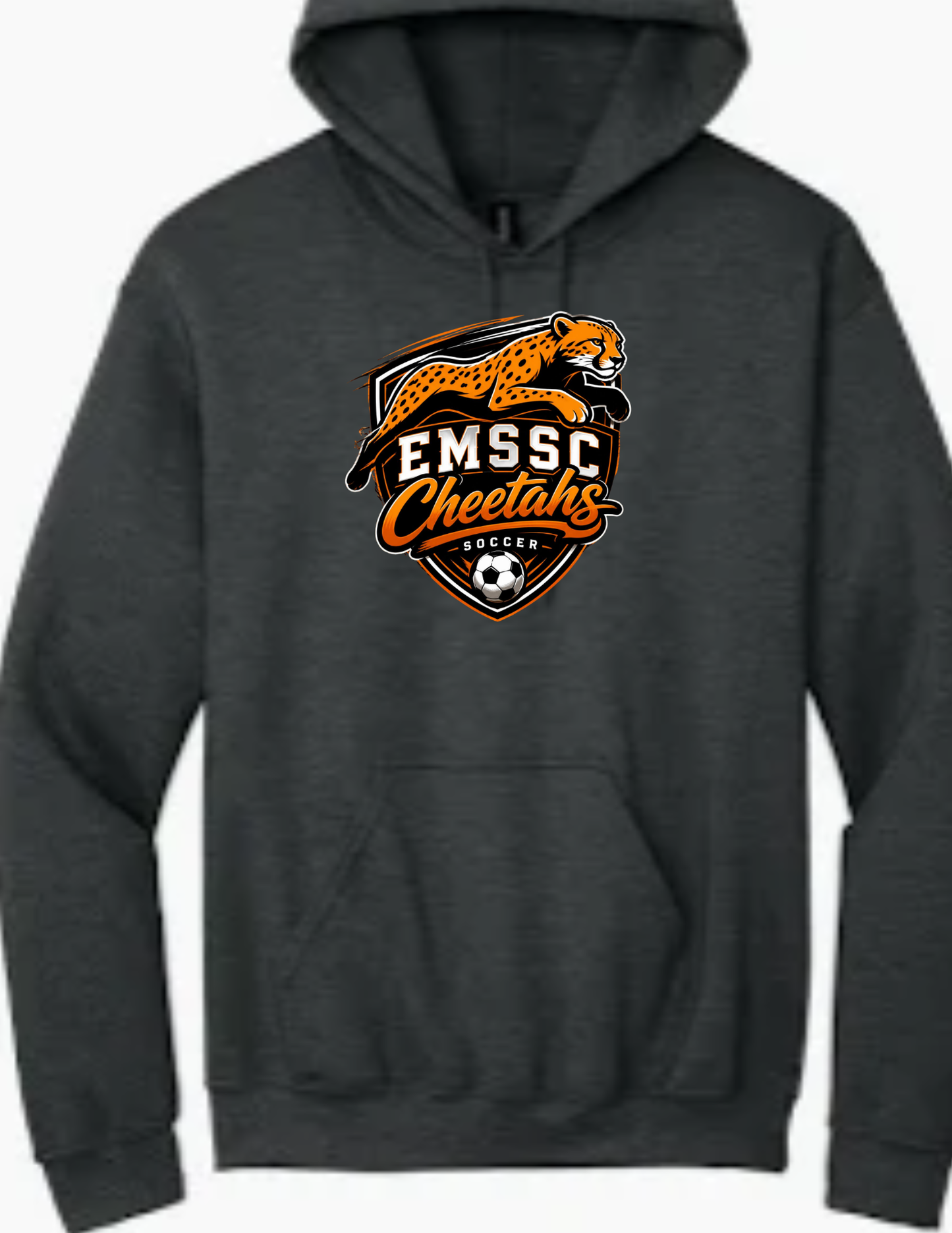 Youth hoodie- large front logo